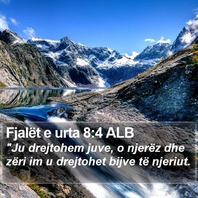 Fjalët e urta 8:4 ALB Bible Verse Image