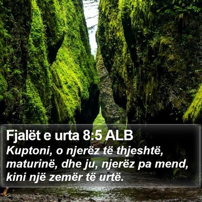 Fjalët e urta 8:5 ALB Bible Verse Image