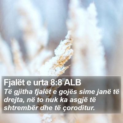 Fjalët e urta 8:8 ALB Bible Verse Image