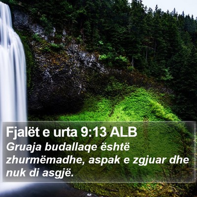 Fjalët e urta 9:13 ALB Bible Verse Image
