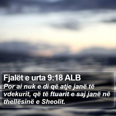 Fjalët e urta 9:18 ALB Bible Verse Image