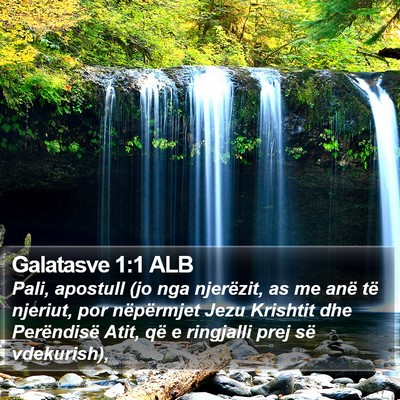 Galatasve 1:1 ALB Bible Verse Image