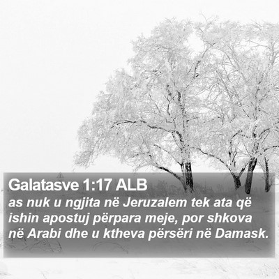 Galatasve 1:17 ALB Bible Verse Image