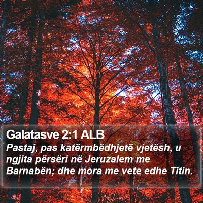 Galatasve 2:1 ALB Bible Verse Image