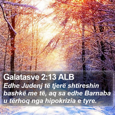 Galatasve 2:13 ALB Bible Verse Image