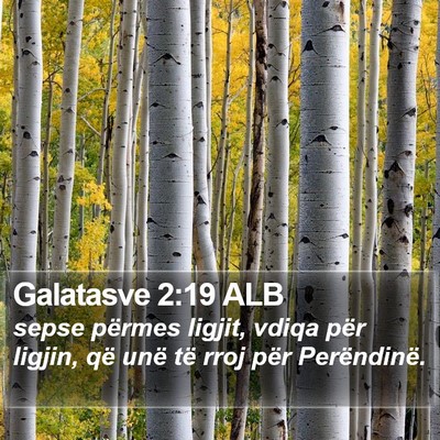 Galatasve 2:19 ALB Bible Verse Image