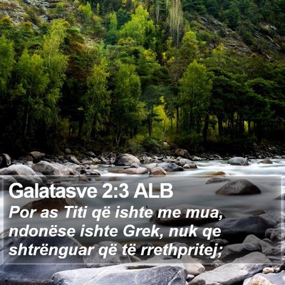 Galatasve 2:3 ALB Bible Verse Image