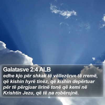 Galatasve 2:4 ALB Bible Verse Image