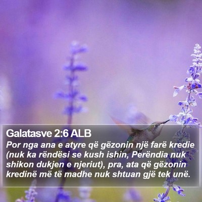 Galatasve 2:6 ALB Bible Verse Image