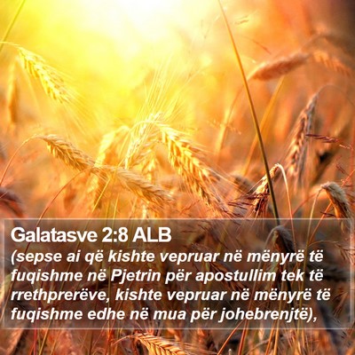 Galatasve 2:8 ALB Bible Verse Image