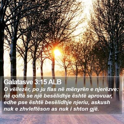 Galatasve 3:15 ALB Bible Verse Image