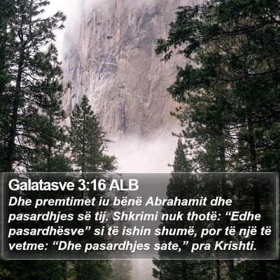 Galatasve 3:16 ALB Bible Verse Image