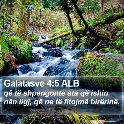 Galatasve 4:5 ALB Bible Verse Image