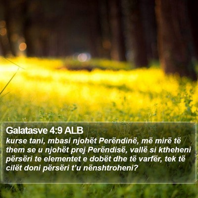 Galatasve 4:9 ALB Bible Verse Image
