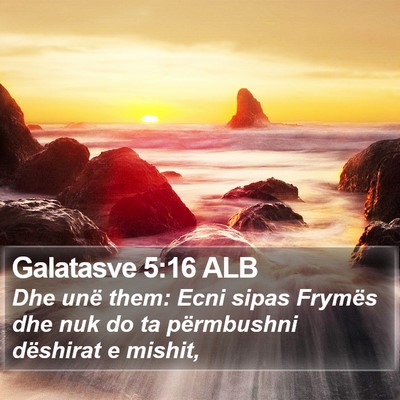 Galatasve 5:16 ALB Bible Verse Image
