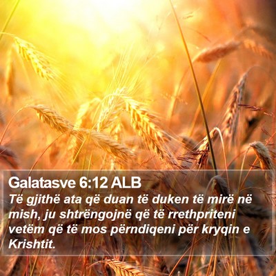 Galatasve 6:12 ALB Bible Verse Image