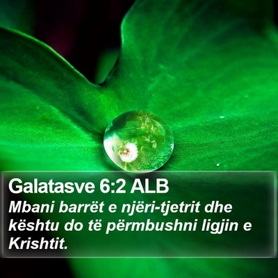 Galatasve 6:2 ALB Bible Verse Image