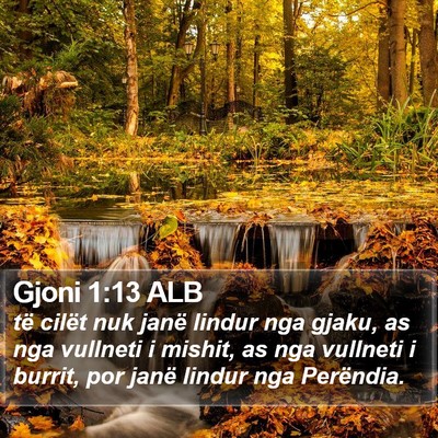 Gjoni 1:13 ALB Bible Verse Image