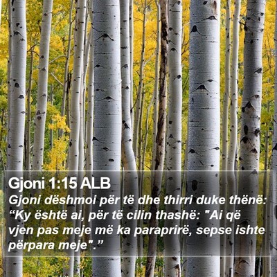 Gjoni 1:15 ALB Bible Verse Image