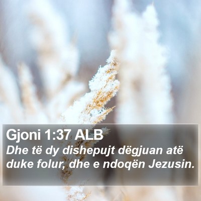 Gjoni 1:37 ALB Bible Verse Image
