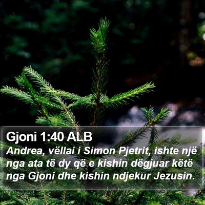 Gjoni 1:40 ALB Bible Verse Image