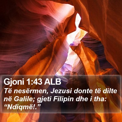 Gjoni 1:43 ALB Bible Verse Image