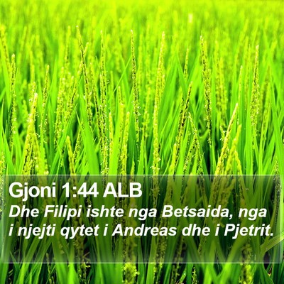 Gjoni 1:44 ALB Bible Verse Image