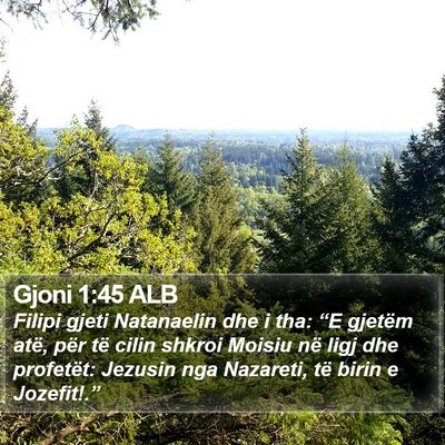 Gjoni 1:45 ALB Bible Verse Image