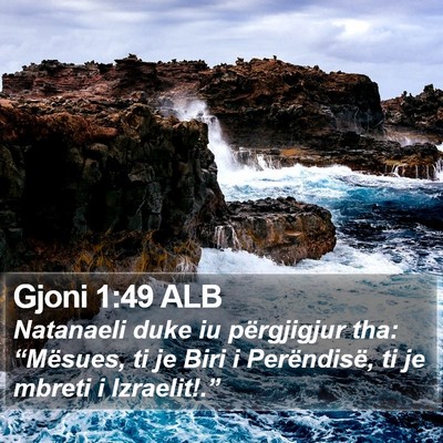 Gjoni 1:49 ALB Bible Verse Image