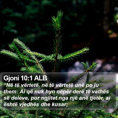 Gjoni 10:1 ALB Bible Verse Image