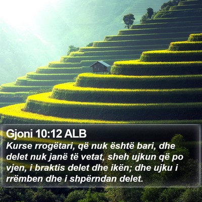 Gjoni 10:12 ALB Bible Verse Image