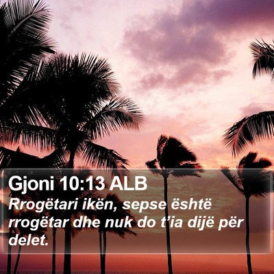 Gjoni 10:13 ALB Bible Verse Image