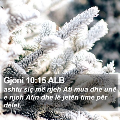 Gjoni 10:15 ALB Bible Verse Image