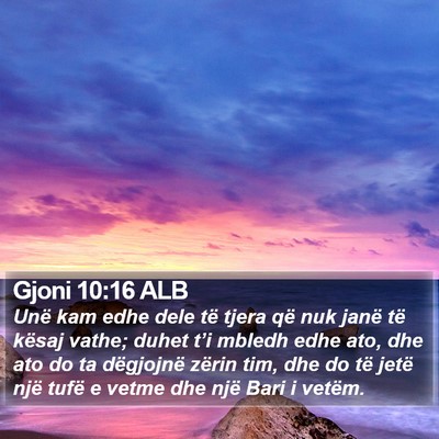 Gjoni 10:16 ALB Bible Verse Image