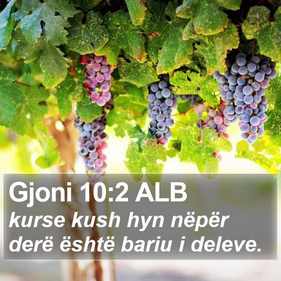 Gjoni 10:2 ALB Bible Verse Image
