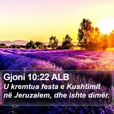Gjoni 10:22 ALB Bible Verse Image