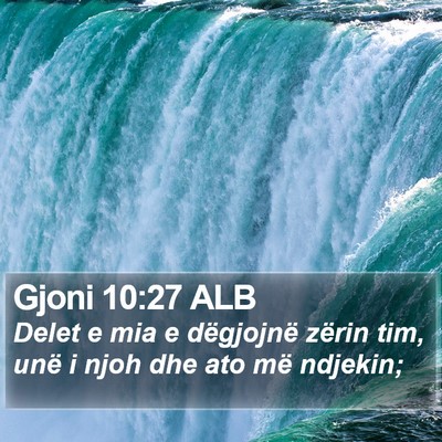 Gjoni 10:27 ALB Bible Verse Image
