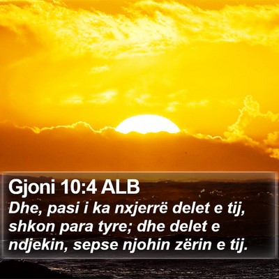 Gjoni 10:4 ALB Bible Verse Image
