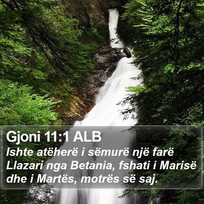 Gjoni 11:1 ALB Bible Verse Image