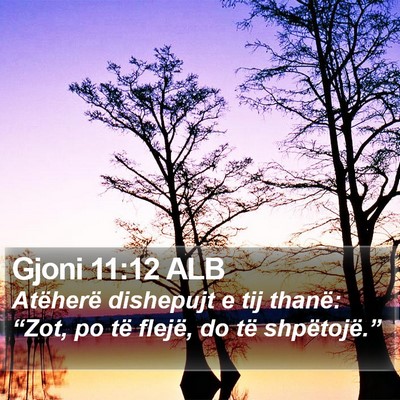 Gjoni 11:12 ALB Bible Verse Image