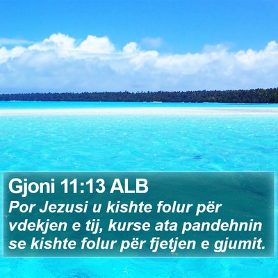 Gjoni 11:13 ALB Bible Verse Image