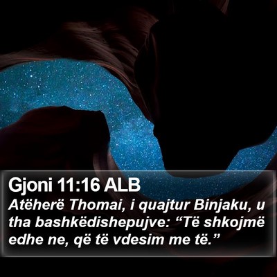 Gjoni 11:16 ALB Bible Verse Image
