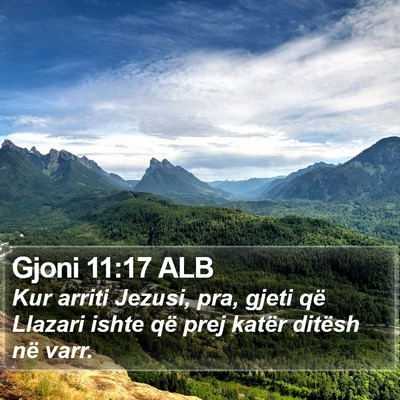 Gjoni 11:17 ALB Bible Verse Image