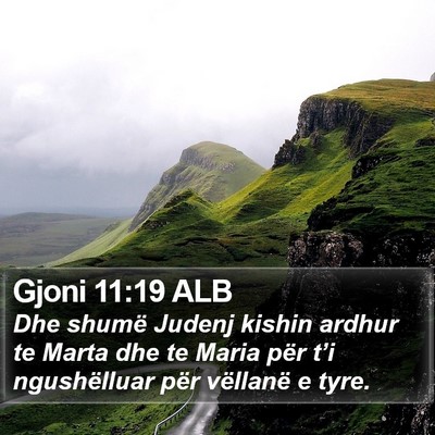 Gjoni 11:19 ALB Bible Verse Image