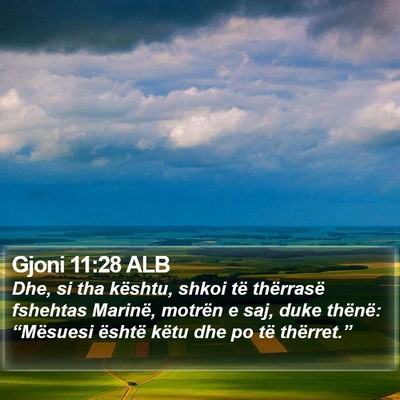 Gjoni 11:28 ALB Bible Verse Image