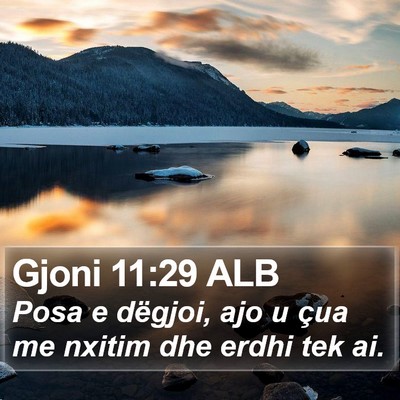 Gjoni 11:29 ALB Bible Verse Image