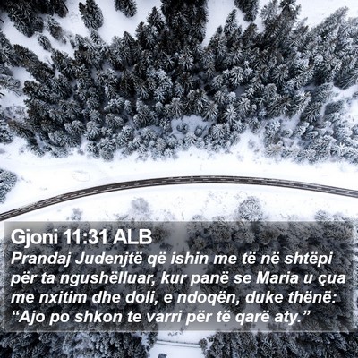 Gjoni 11:31 ALB Bible Verse Image