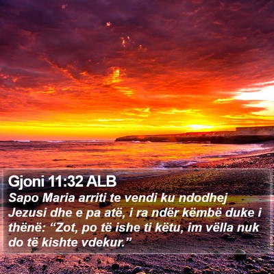 Gjoni 11:32 ALB Bible Verse Image