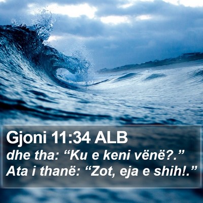 Gjoni 11:34 ALB Bible Verse Image