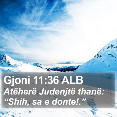 Gjoni 11:36 ALB Bible Verse Image